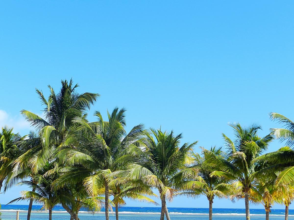 Palmeras De Mahahual Cabanas Экстерьер фото