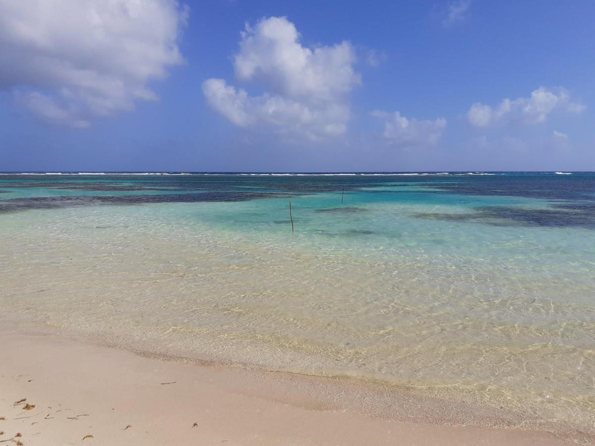 Palmeras De Mahahual Cabanas Экстерьер фото